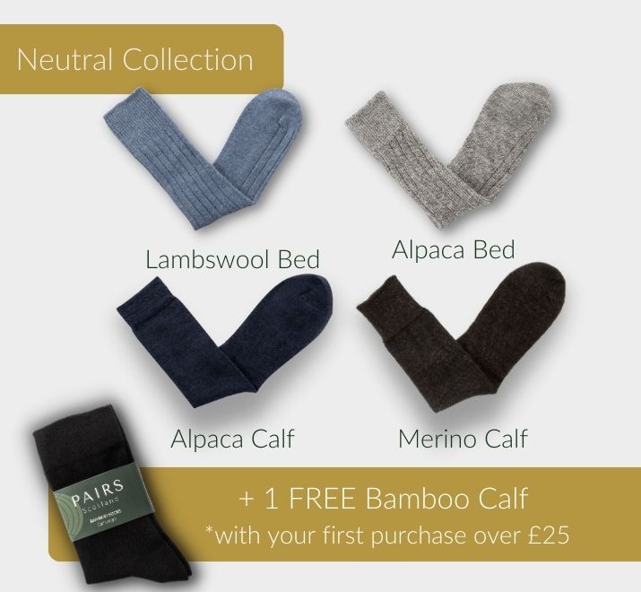 PAIRS Discovery Bundle